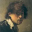 Picture of Johannes Vermeer